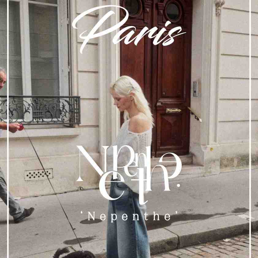 H-Hour-Theot 디오트 B1 D-23 theot 档口微信二维码及货源实拍