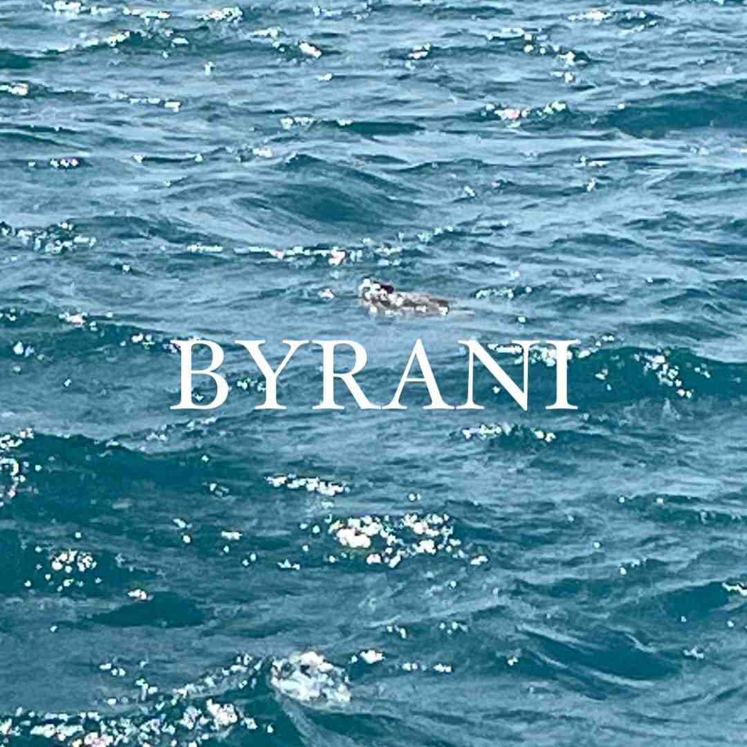 byrani-THEOT 4F C9 theot 档口微信二维码及货源实拍