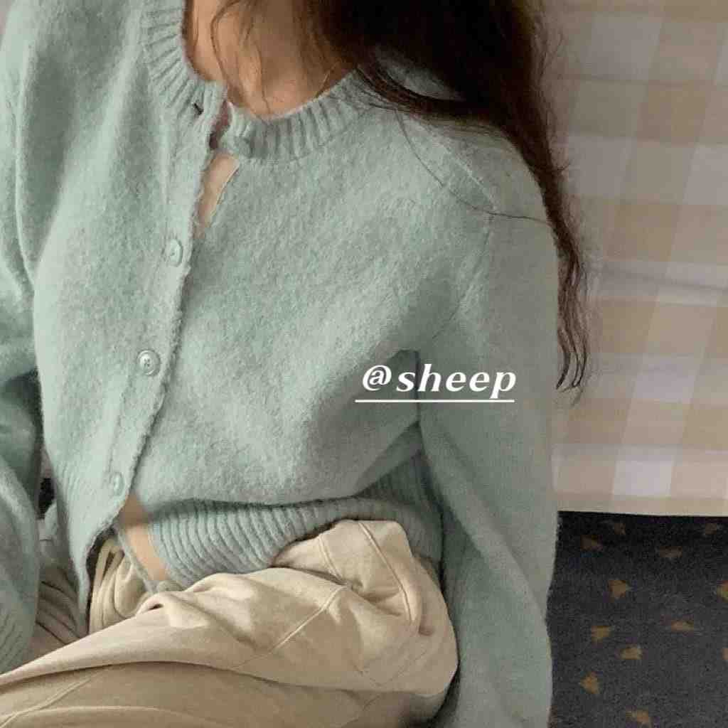 Sheep-时尚中心4123