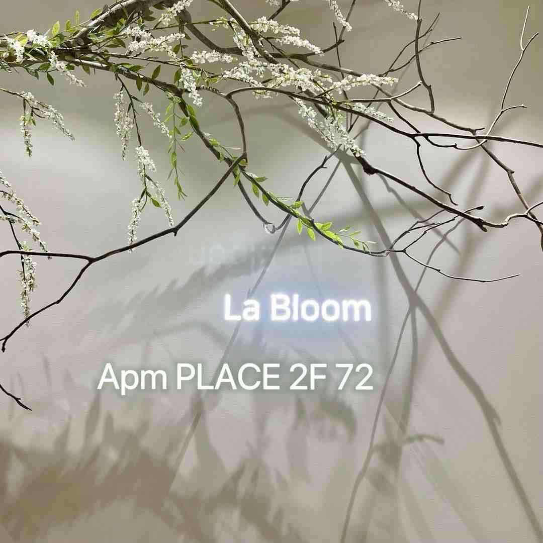 La Bloom-ApmPlace2F72