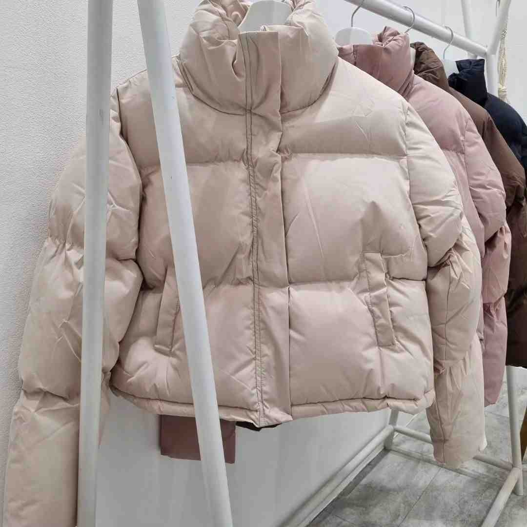 BIEN GARDER(palette)-apm313 产品图