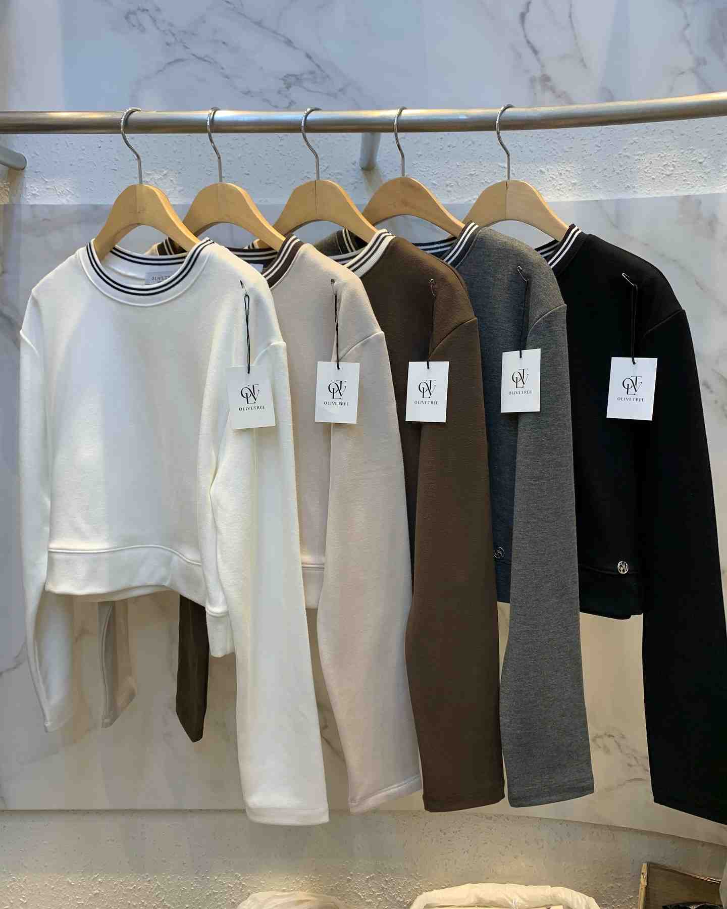 olive tree 产品图