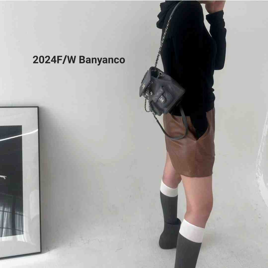 BANY ANCO-apm3F315 产品图