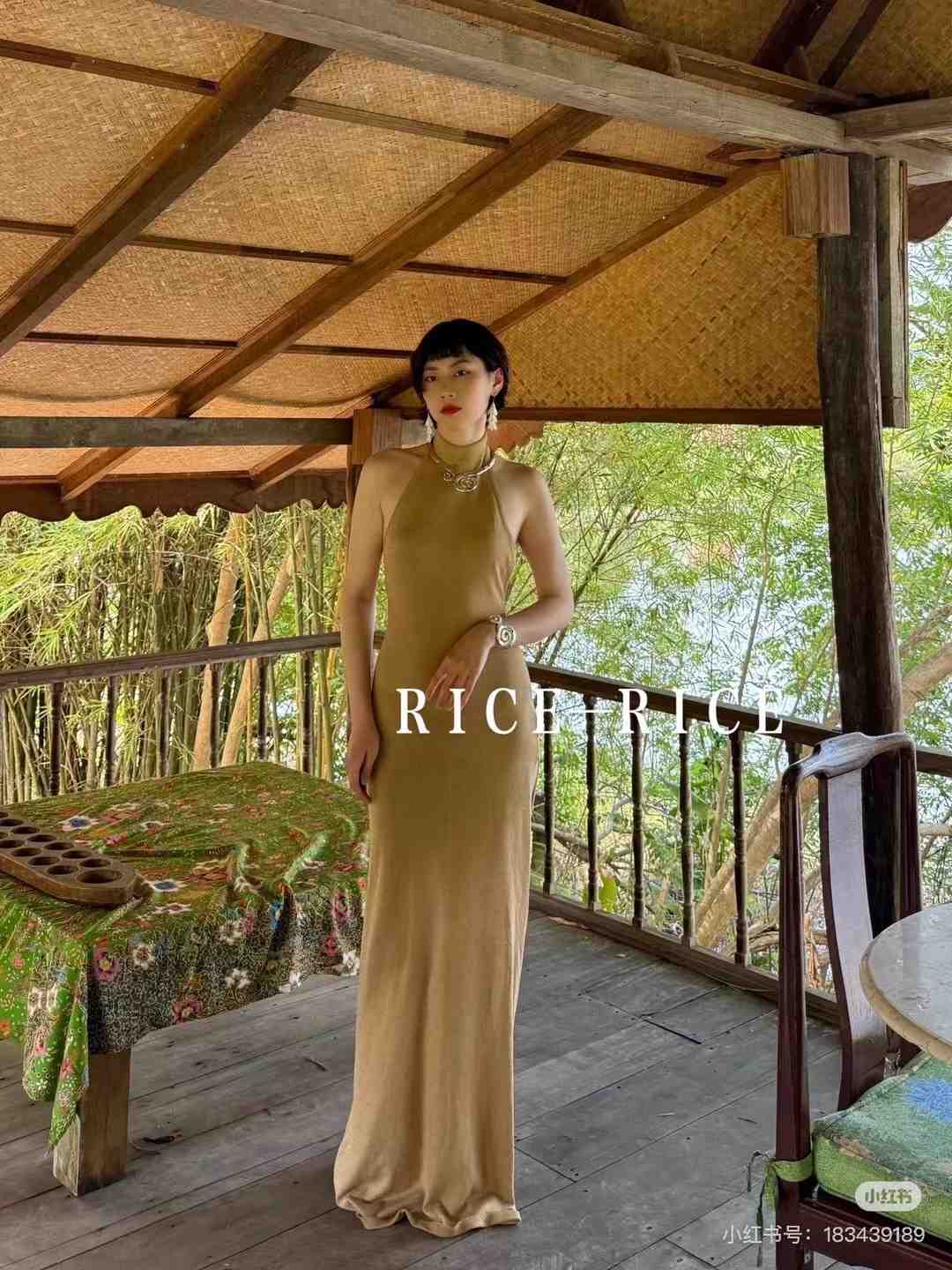 RICE ISYAN-C669 产品图