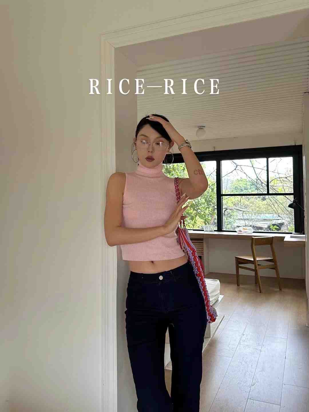 RICE ISYAN-C669 产品图