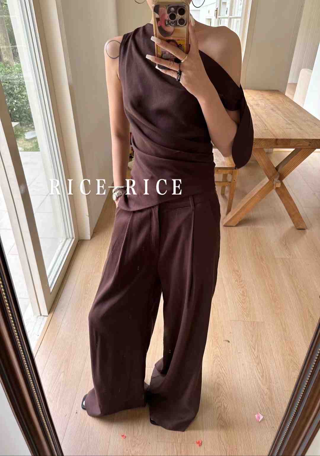 RICE ISYAN-C669 产品图