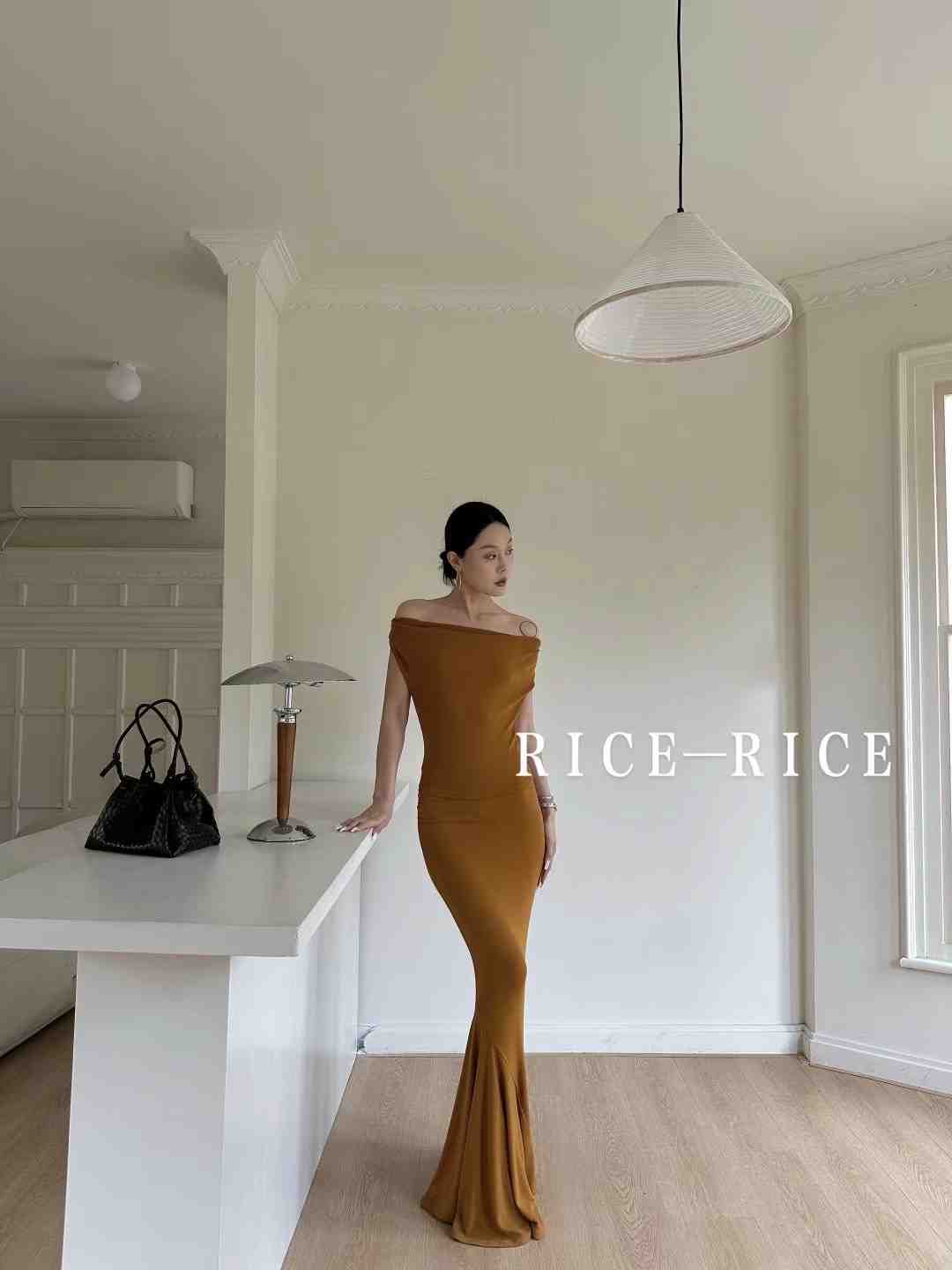 RICE ISYAN-C669 产品图