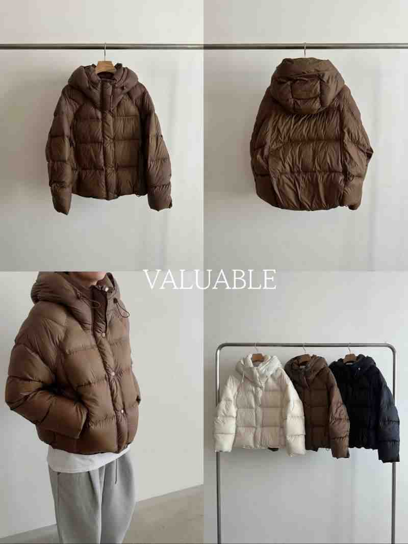valuable-APM2F213 产品图