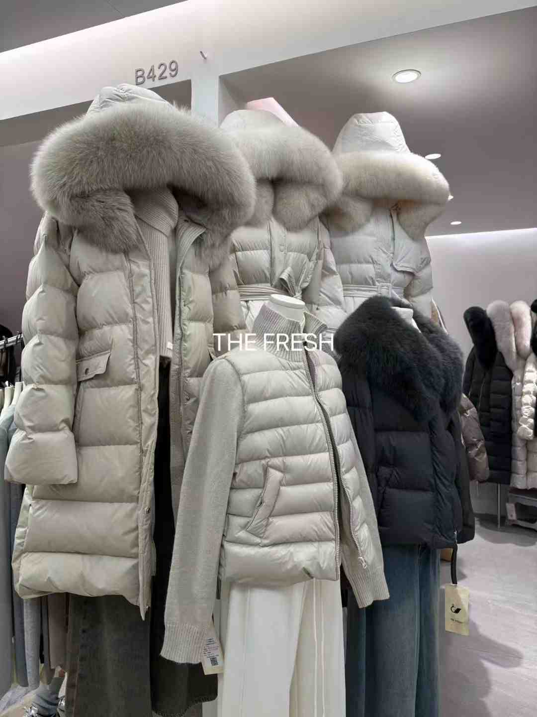 The Fresh-B428 产品图