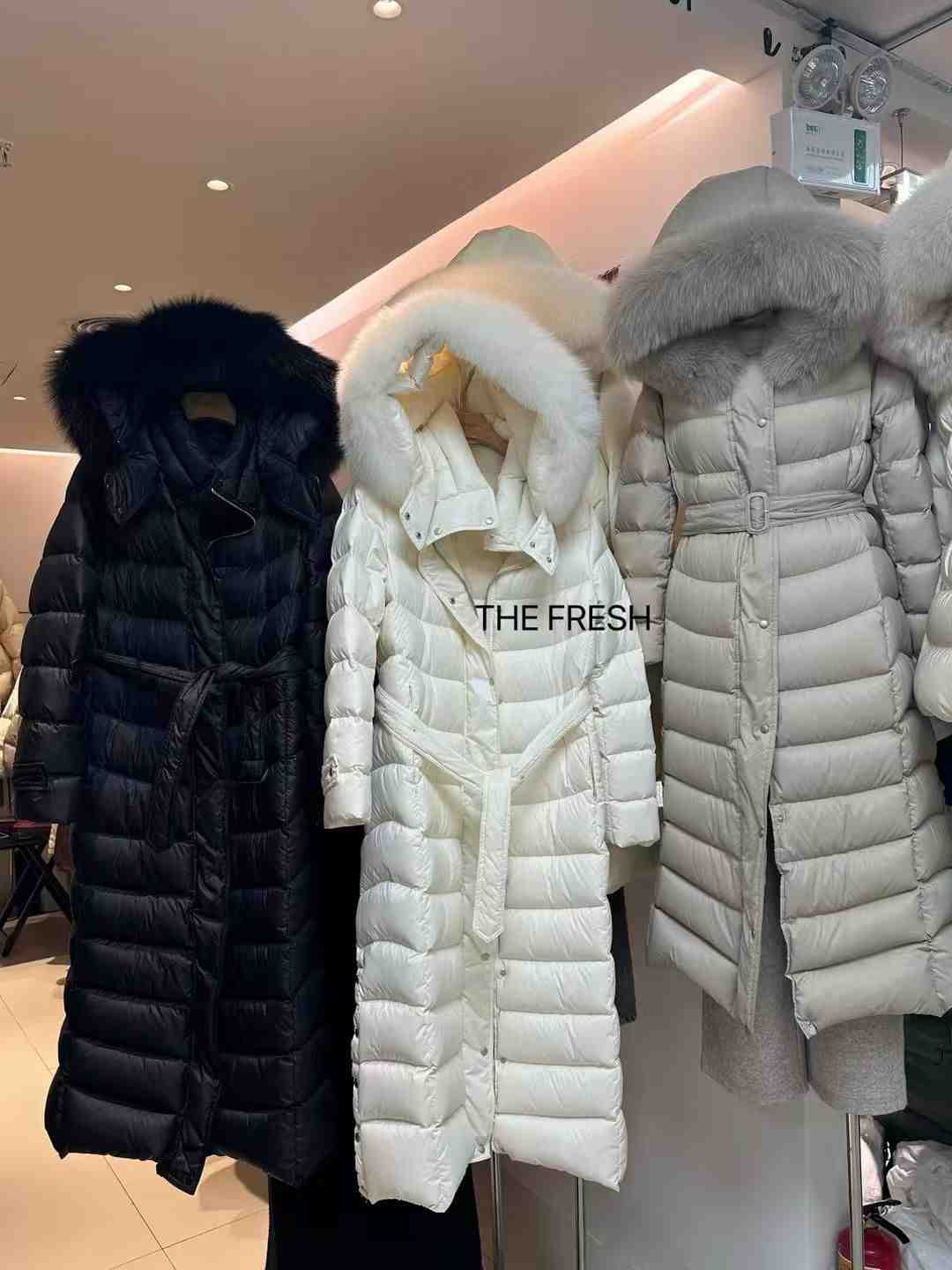 The Fresh-B428 产品图