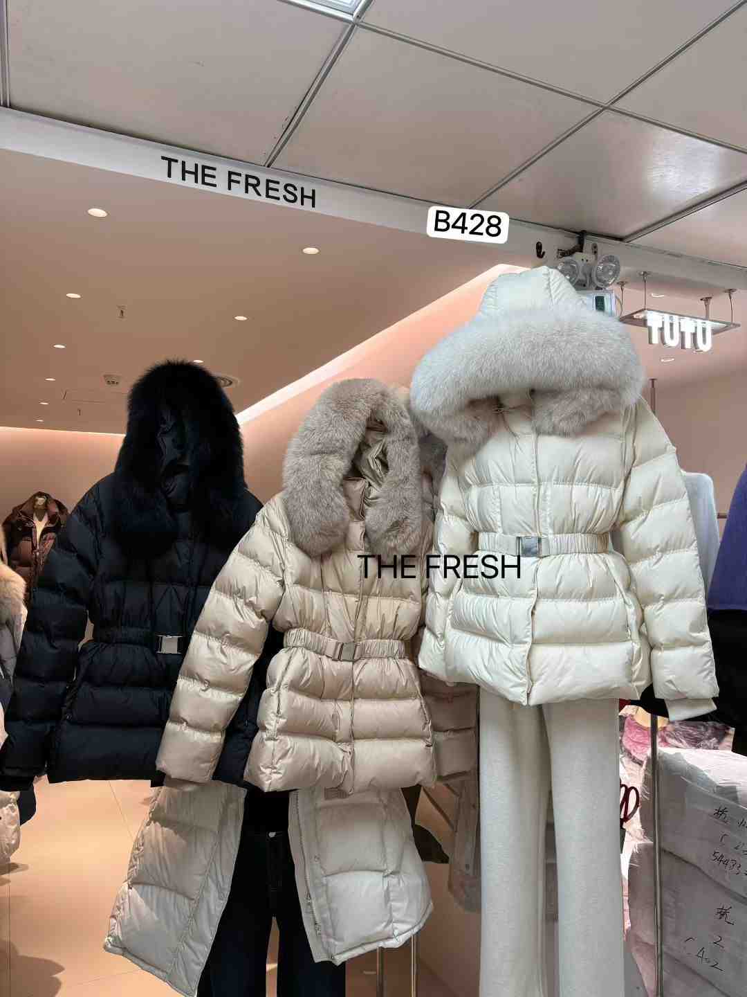 The Fresh-B428 产品图