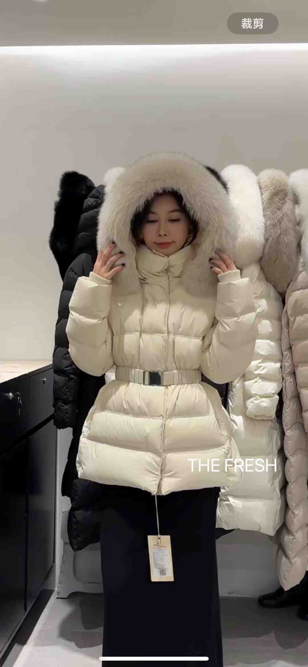The Fresh-B428 产品图