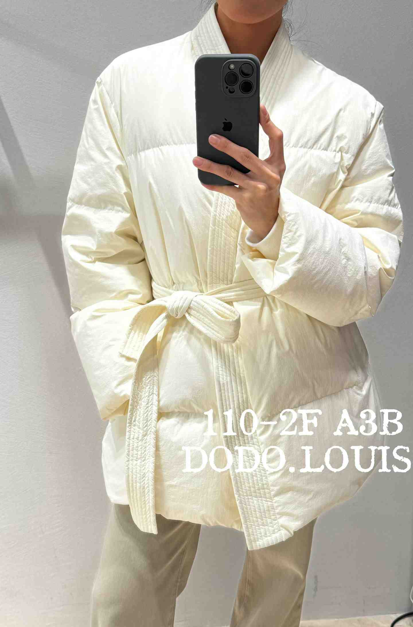 DODO.LOUIS-110栋2-A3B 产品图