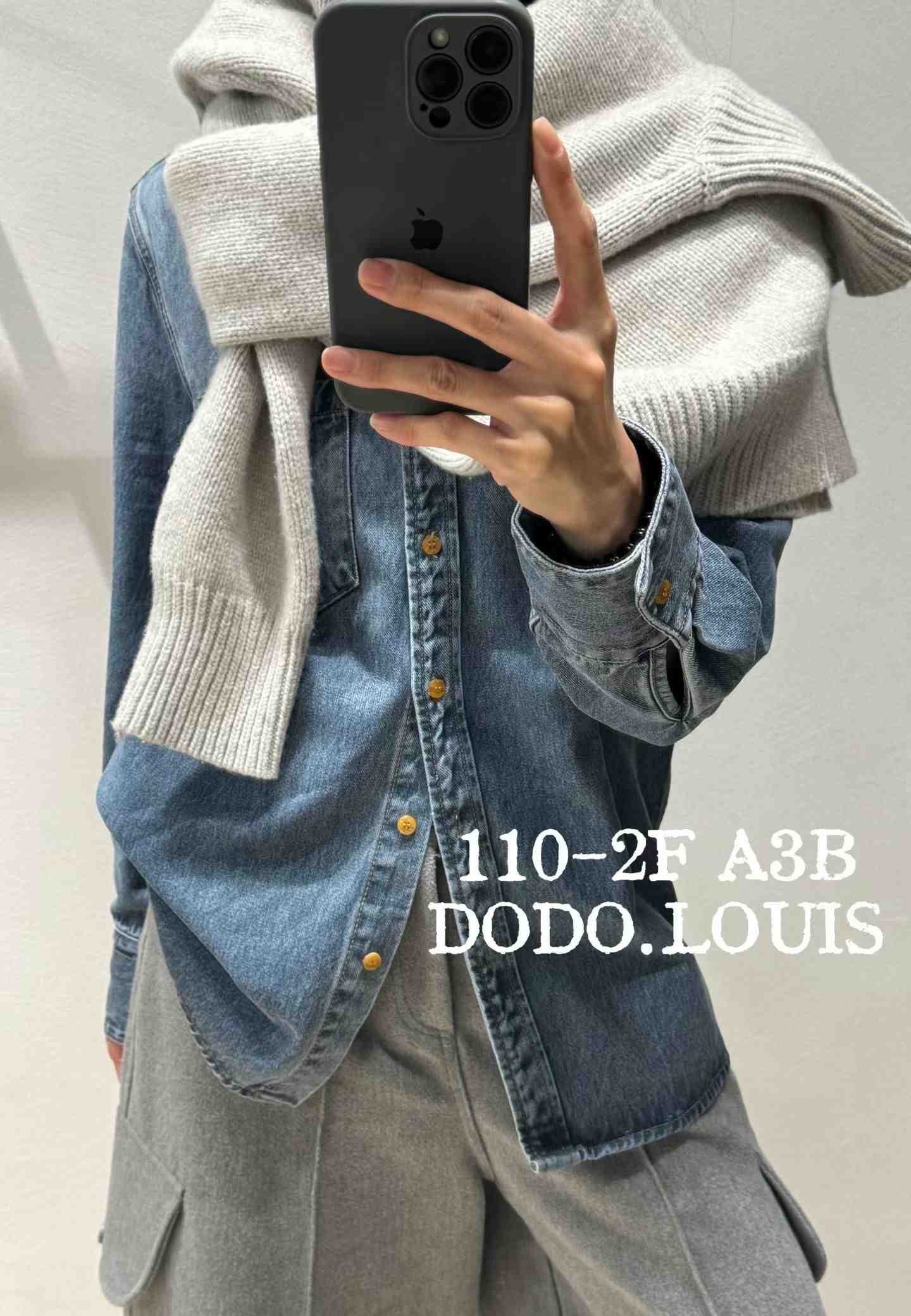 DODO.LOUIS-110栋2-A3B 产品图