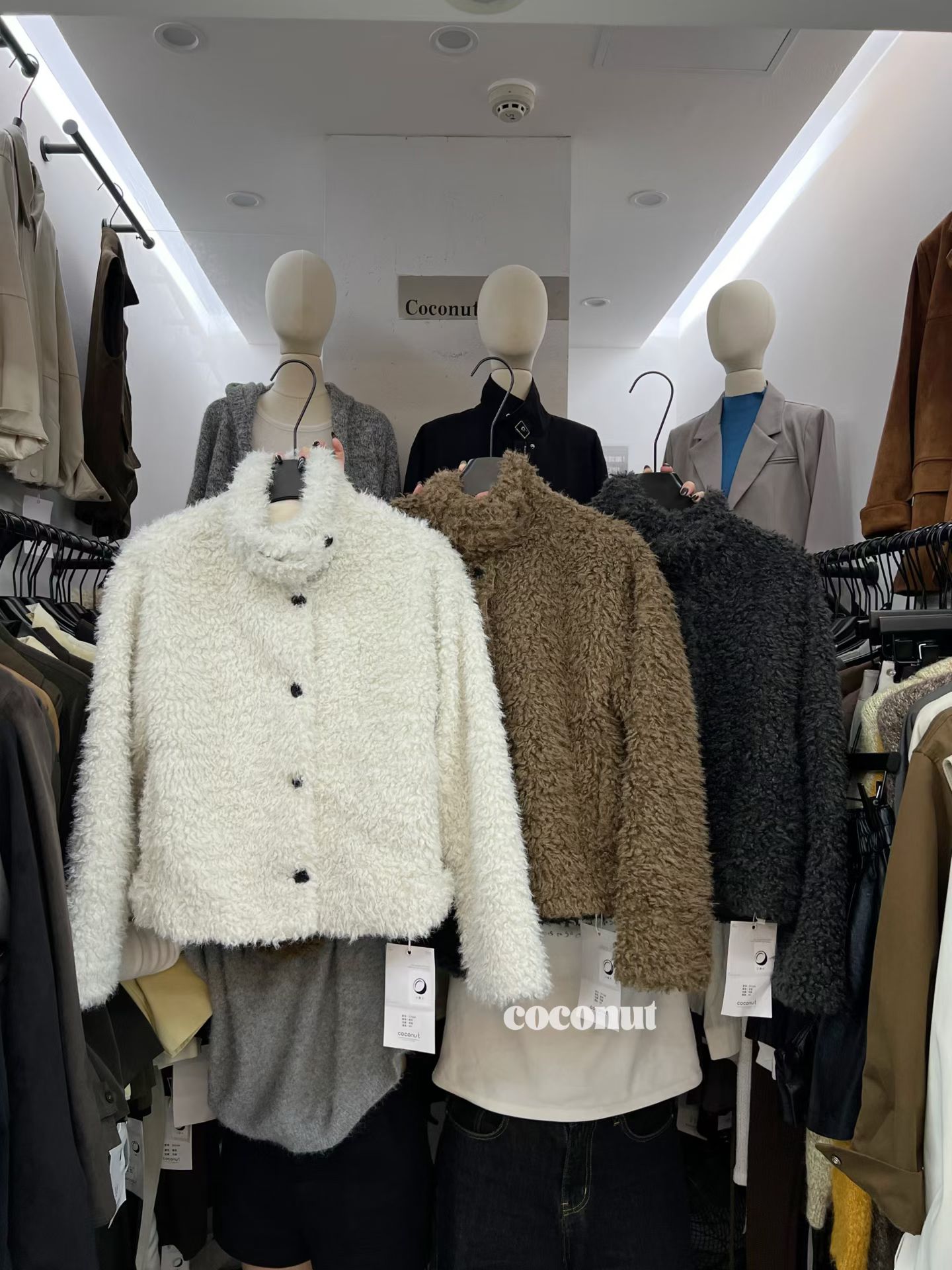 COCONUT小椰子家-金马4楼A419 产品图