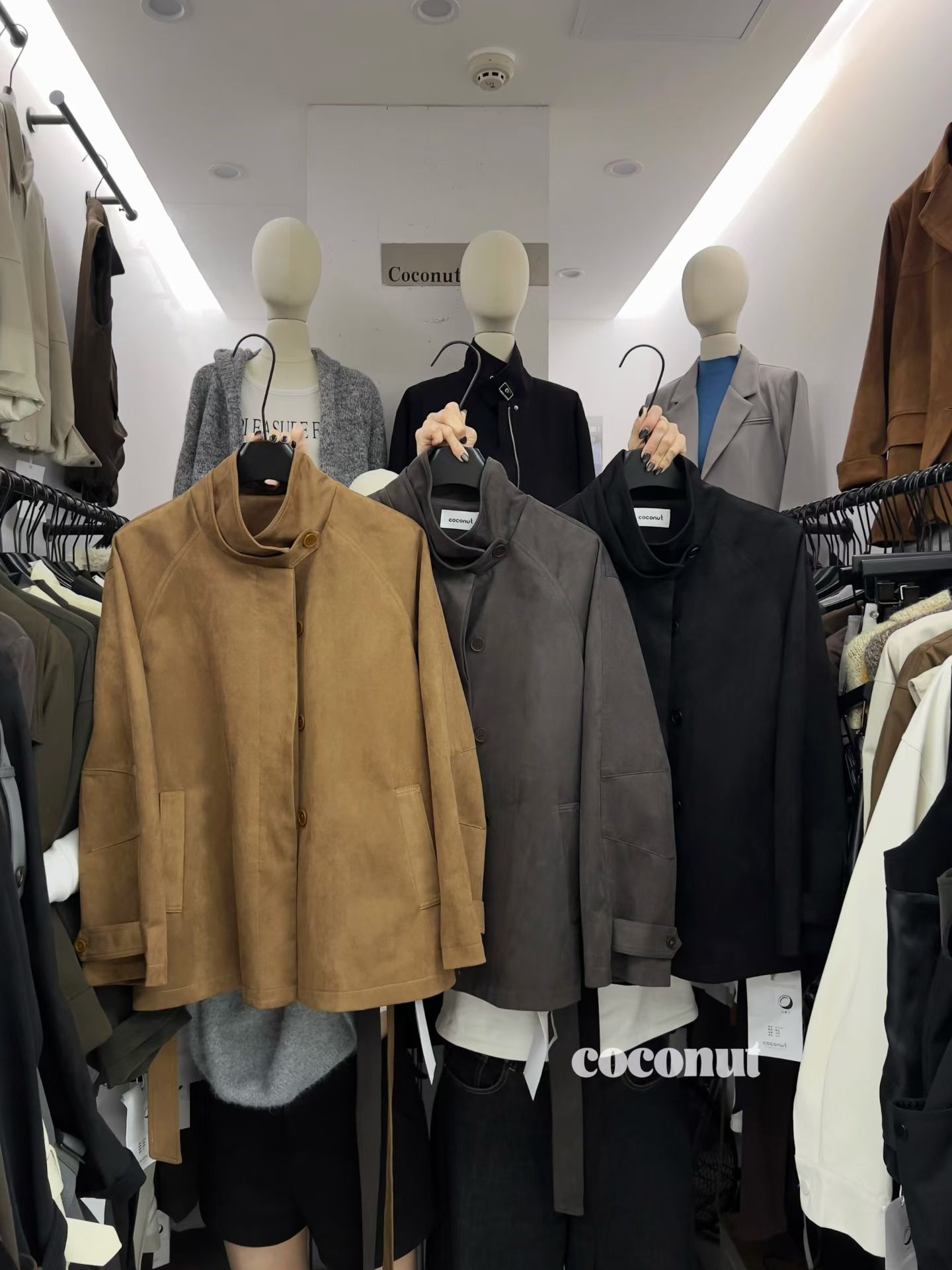 COCONUT小椰子家-金马4楼A419 产品图