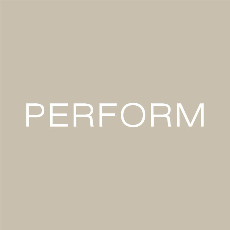PERFORM演奏 产品图