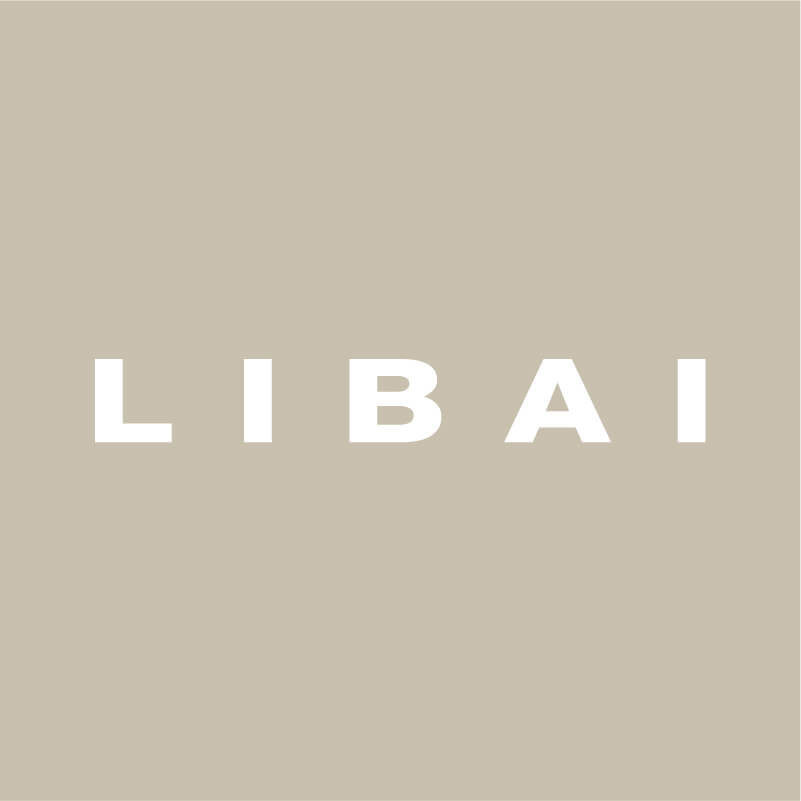 LIBAI 产品图