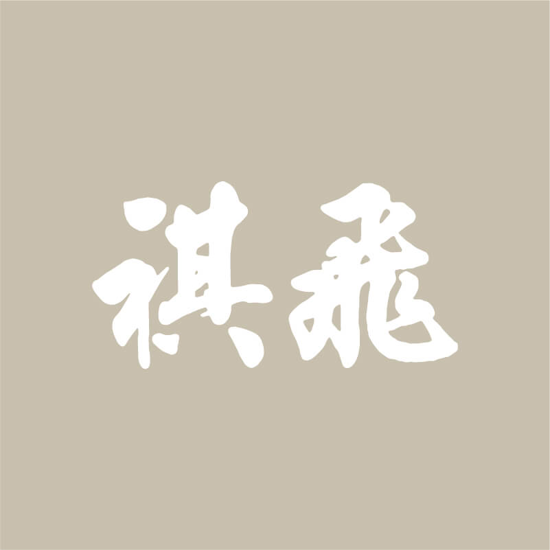 褀飛 产品图
