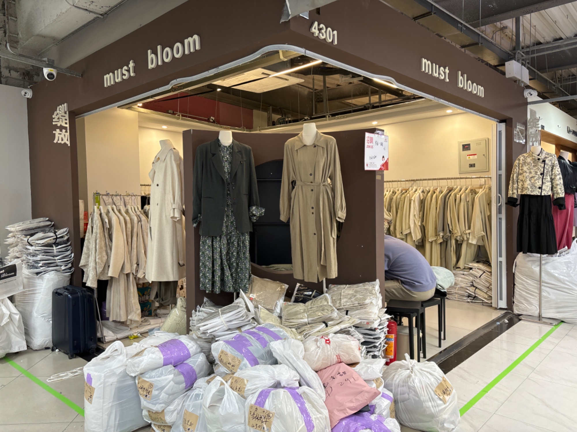 Must Bloom绽放 产品图