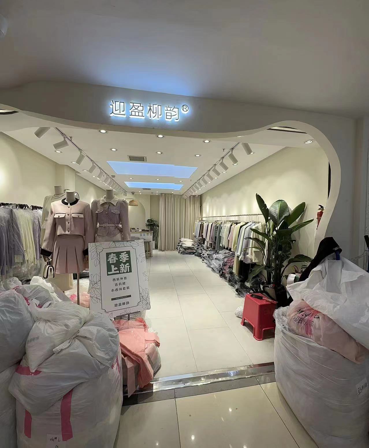 迎盈柳韵 产品图