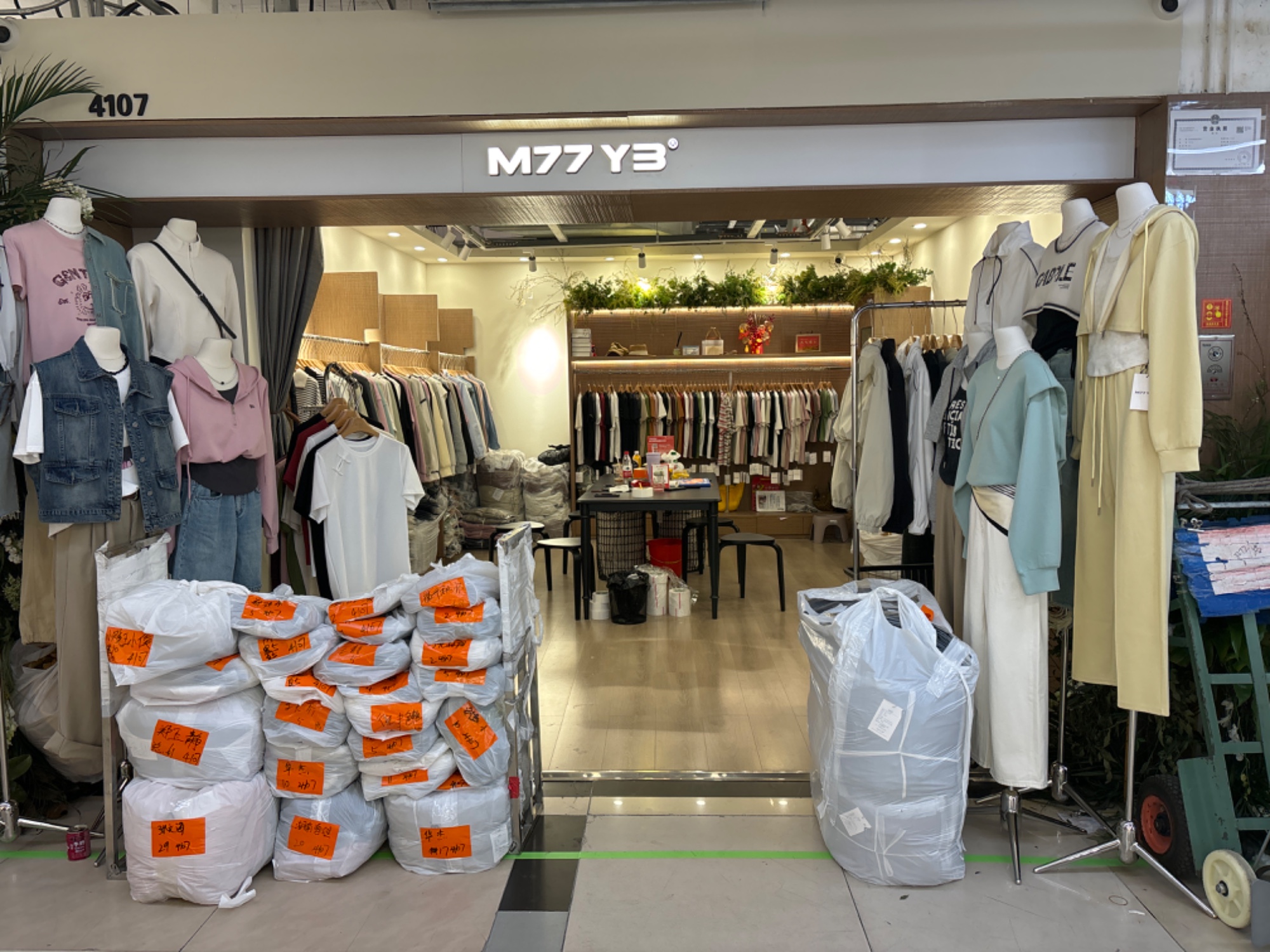 M77 Y3 产品图