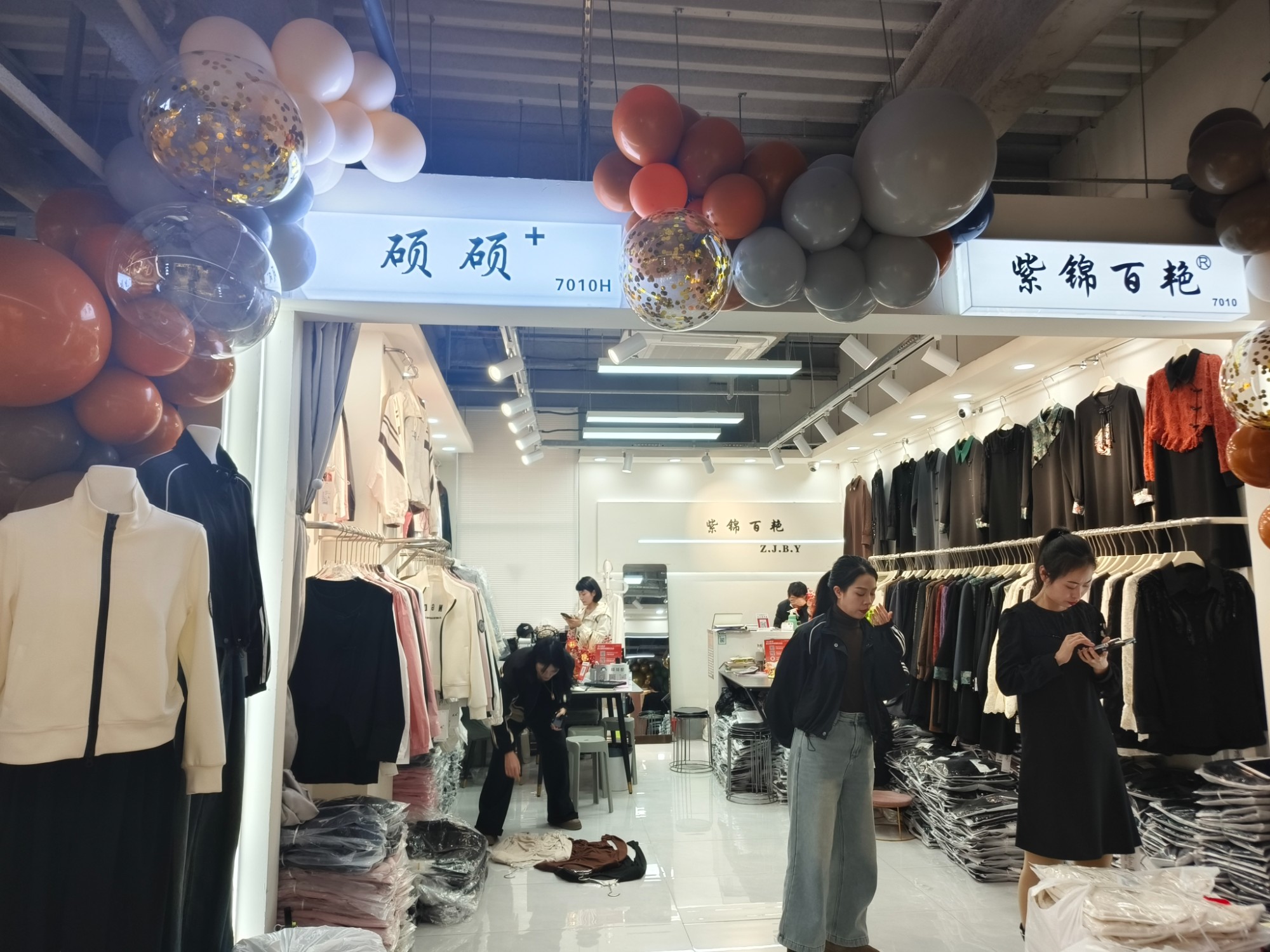 紫锦百艳 产品图