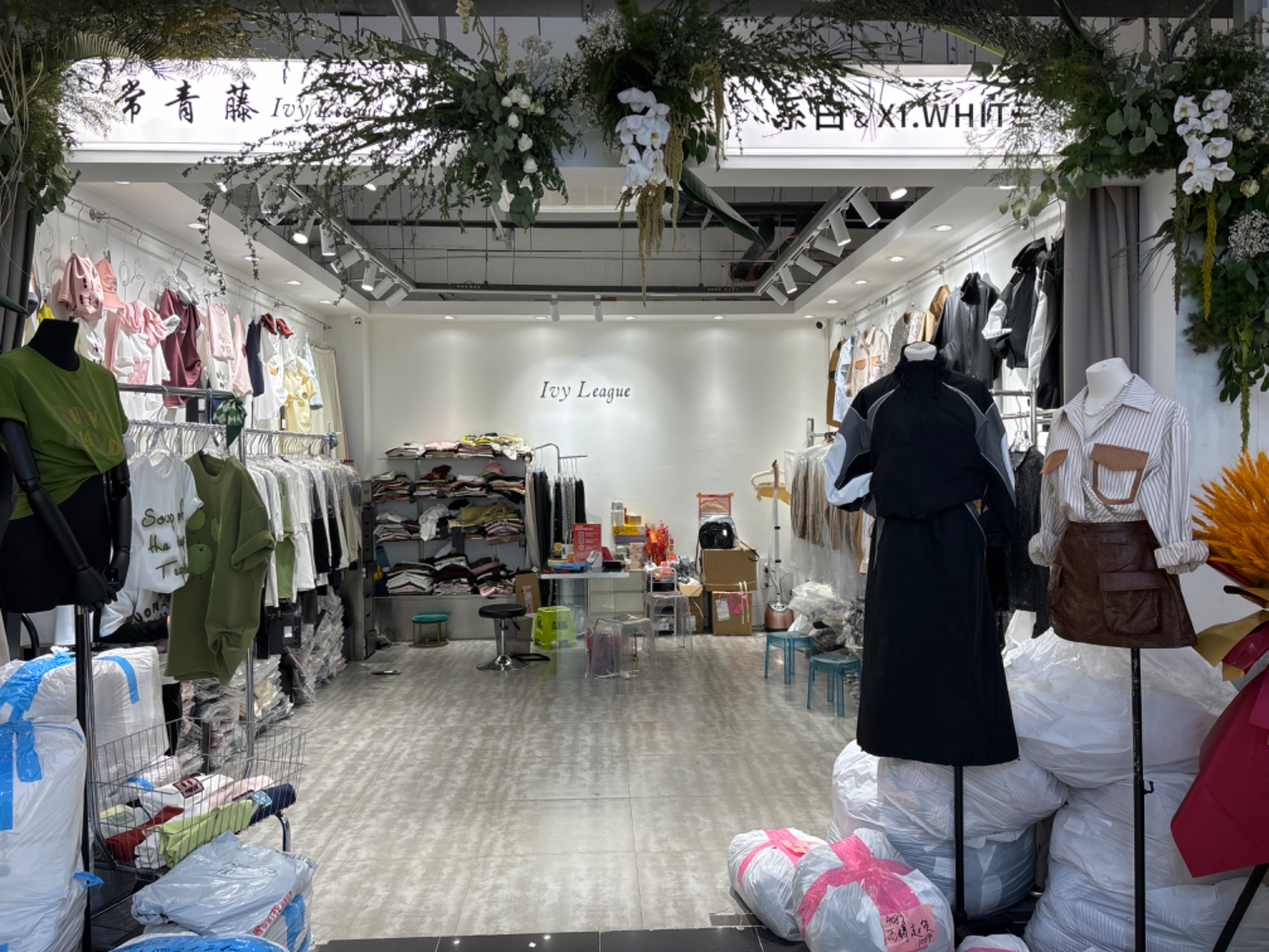 系白 White 产品图