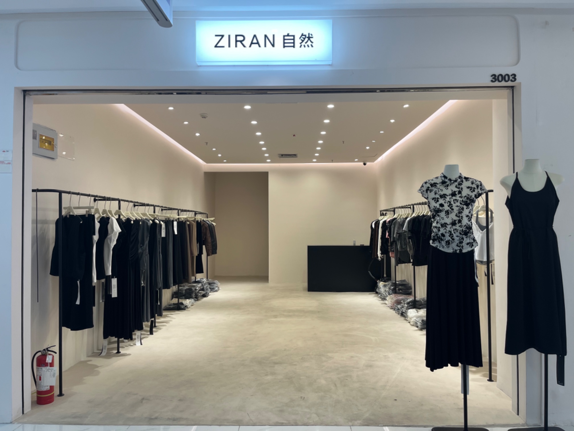 ZiRan 产品图