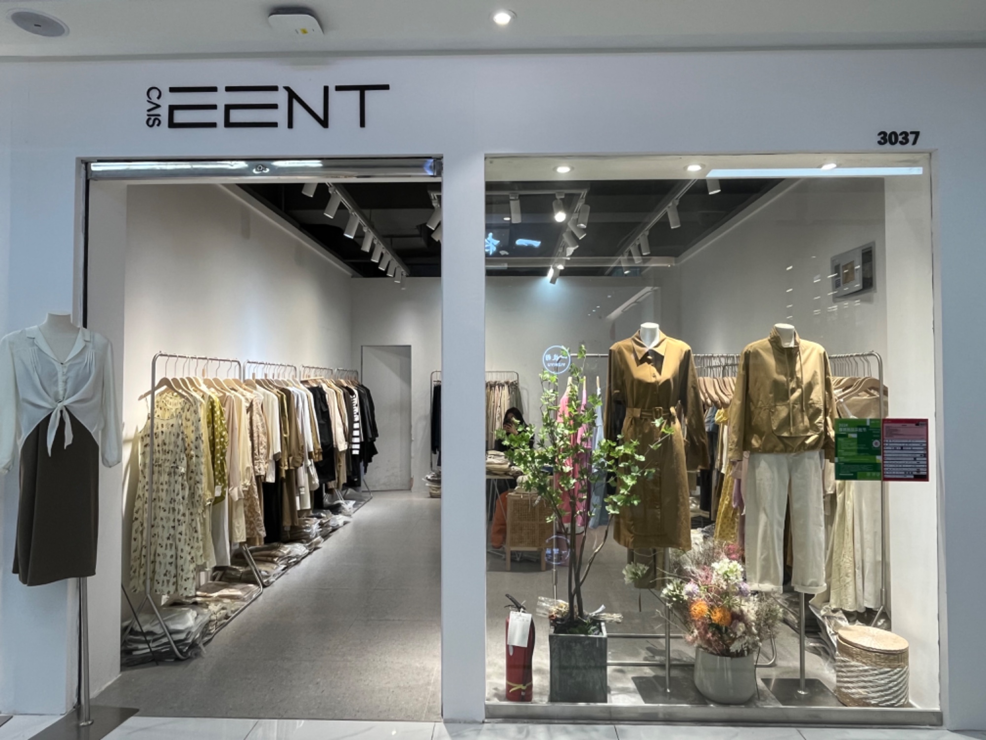 CAISEENT 产品图