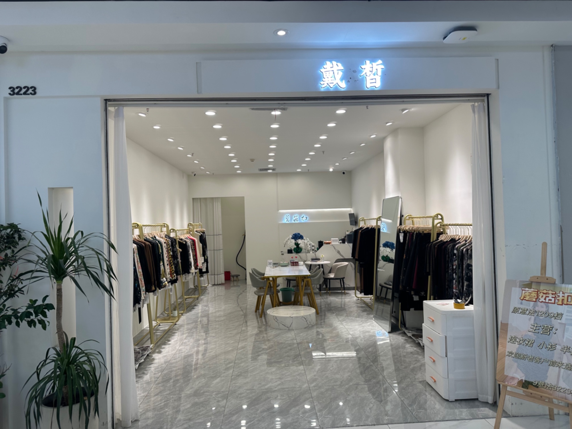 戴晳
