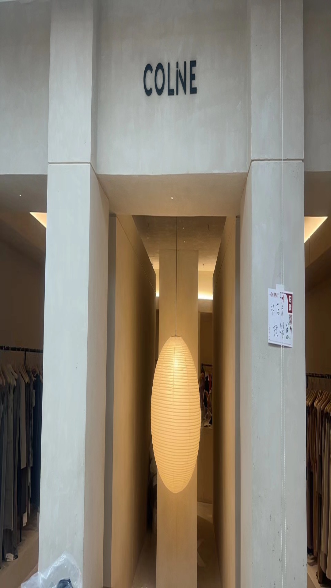 COLINE 产品图