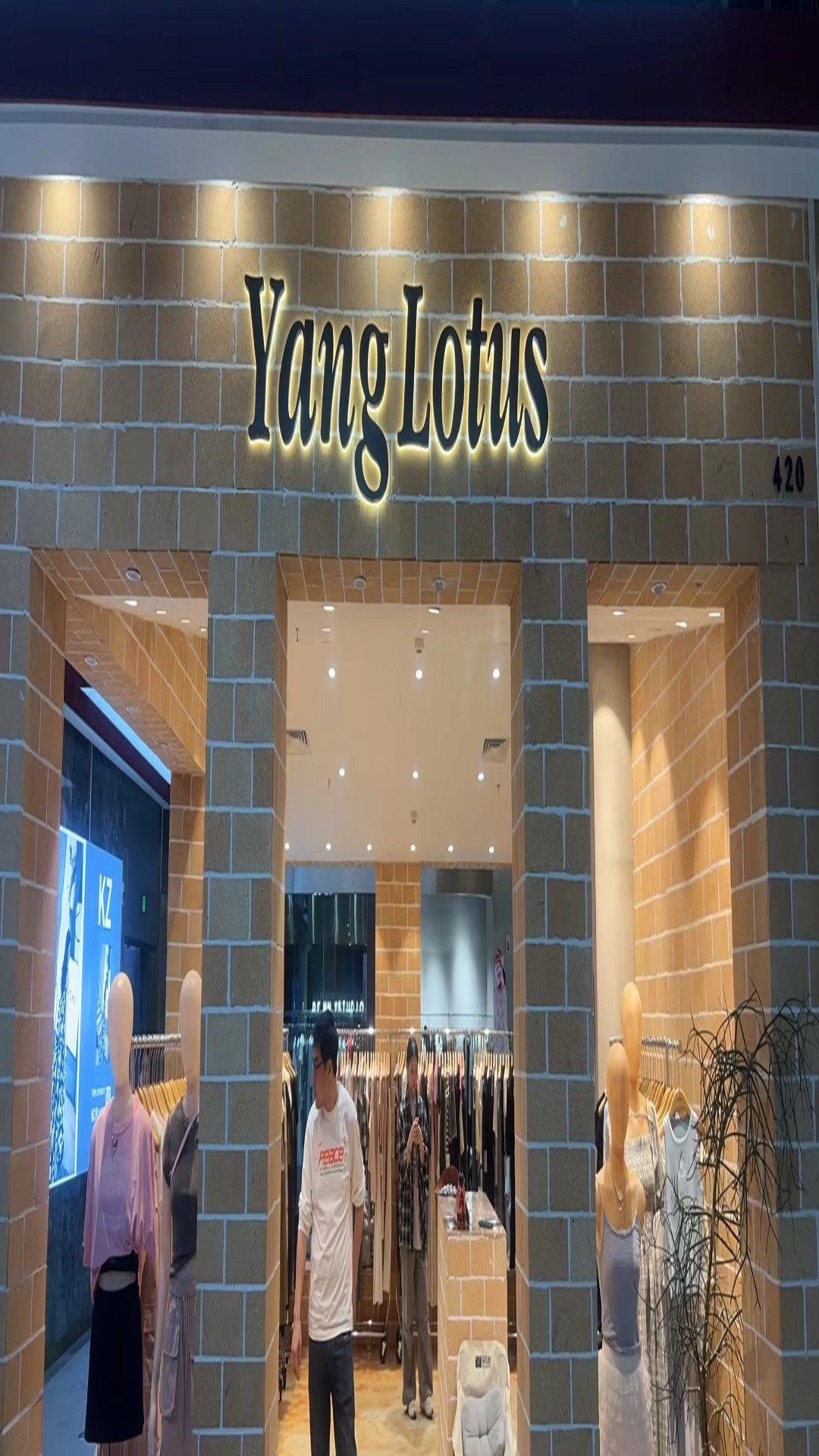 YANG LOTUS 产品图