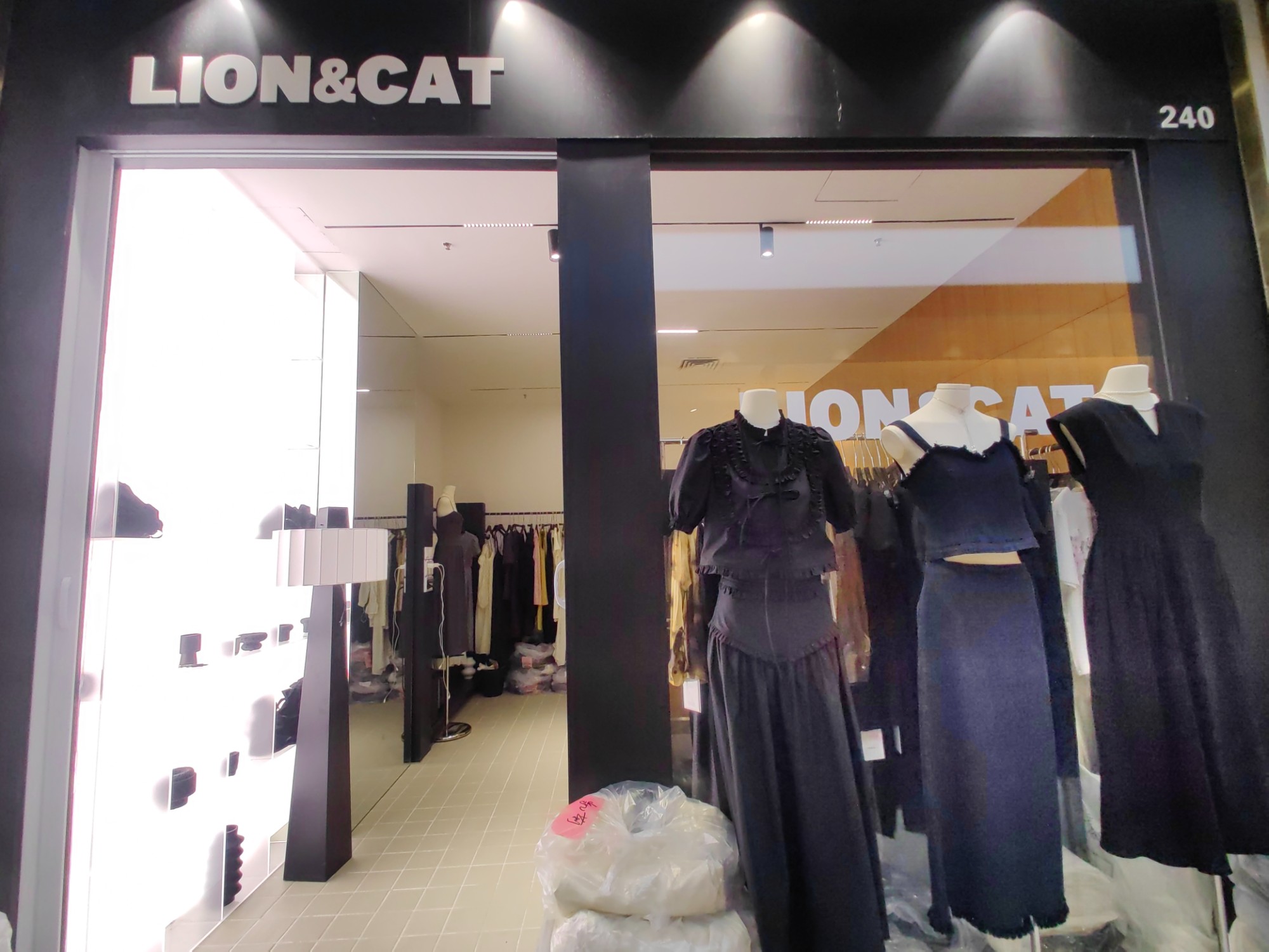 LION&CAT 产品图