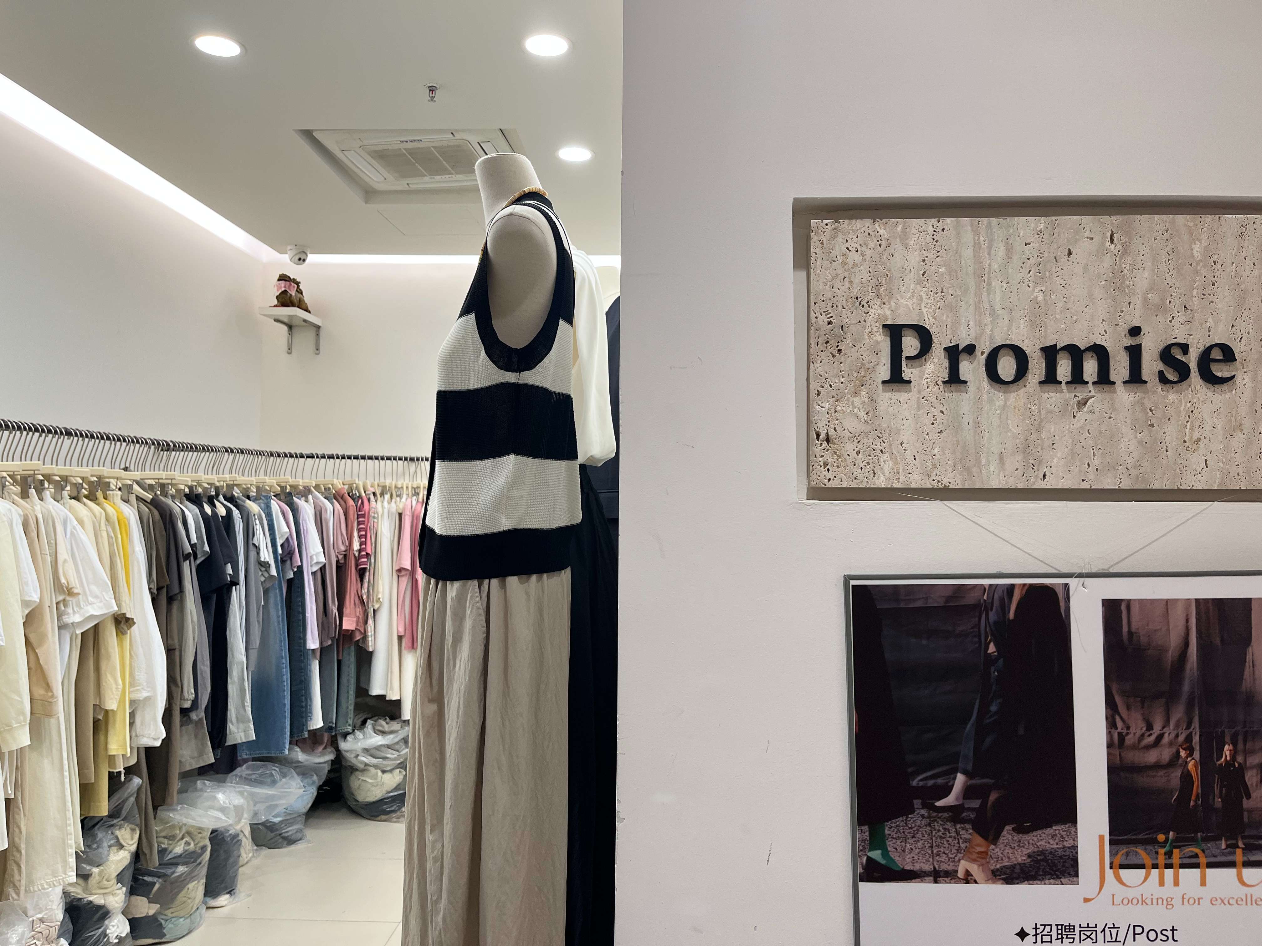 PROMISE 产品图