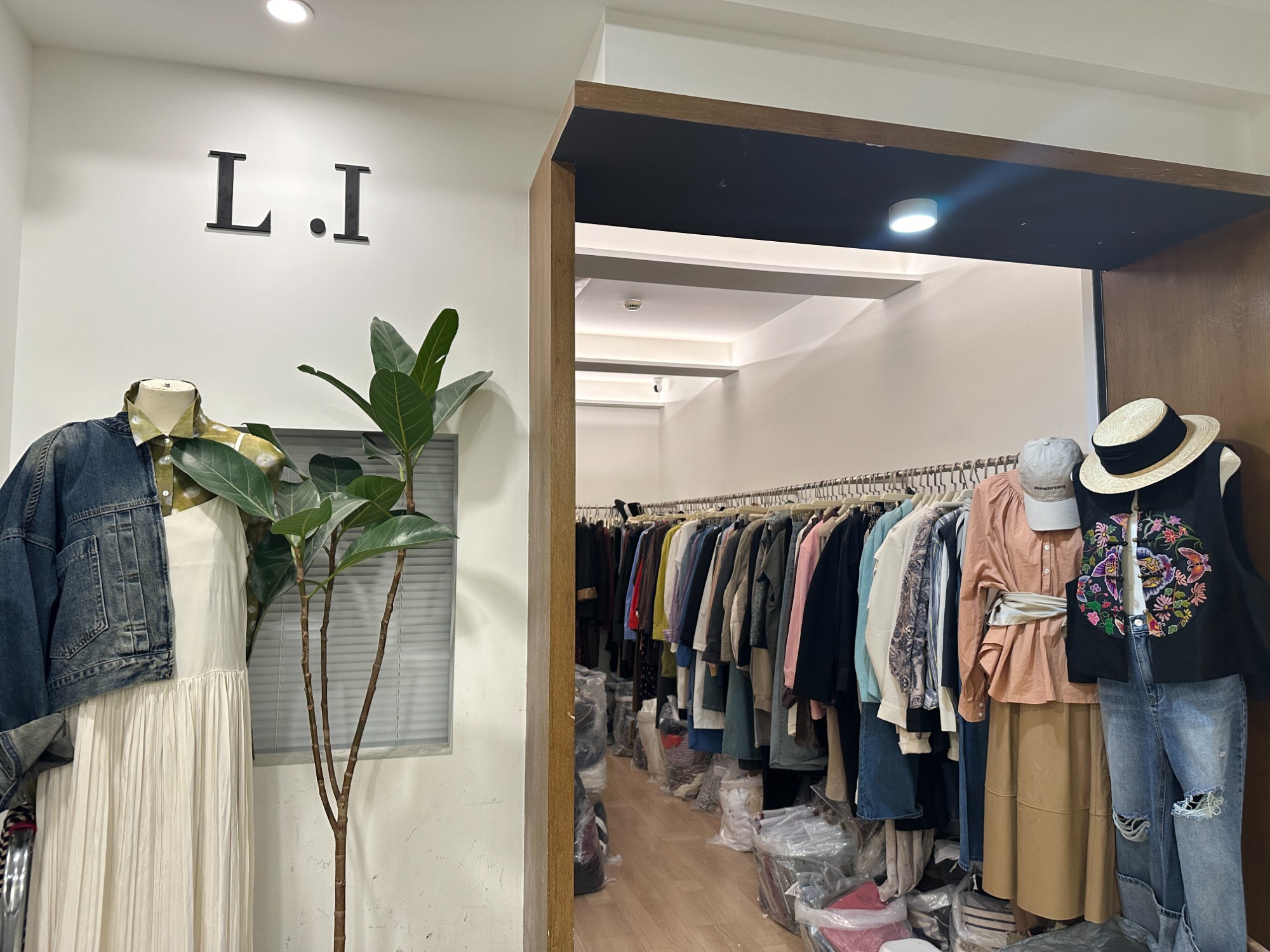 L.I 产品图