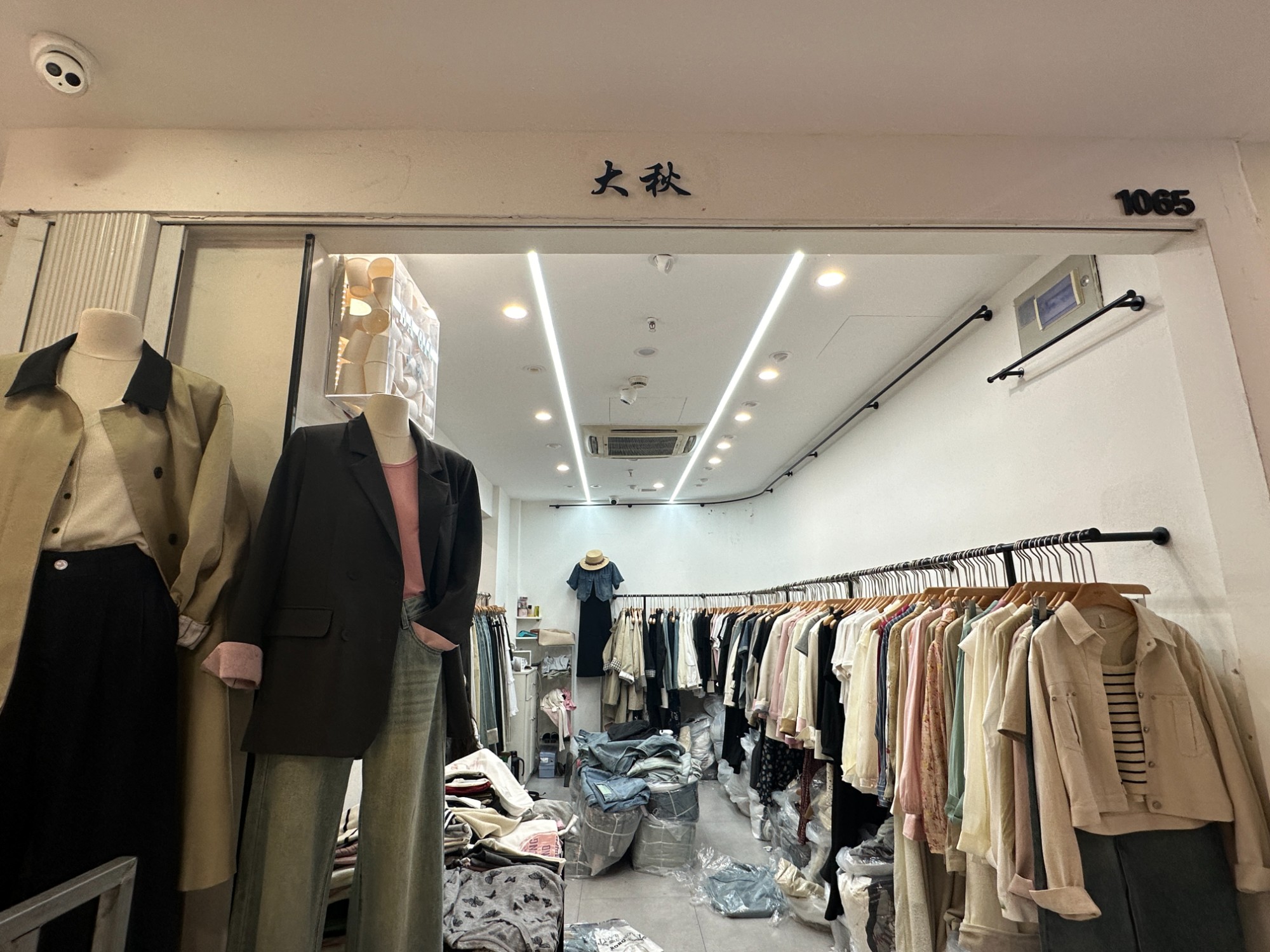 大秋 产品图