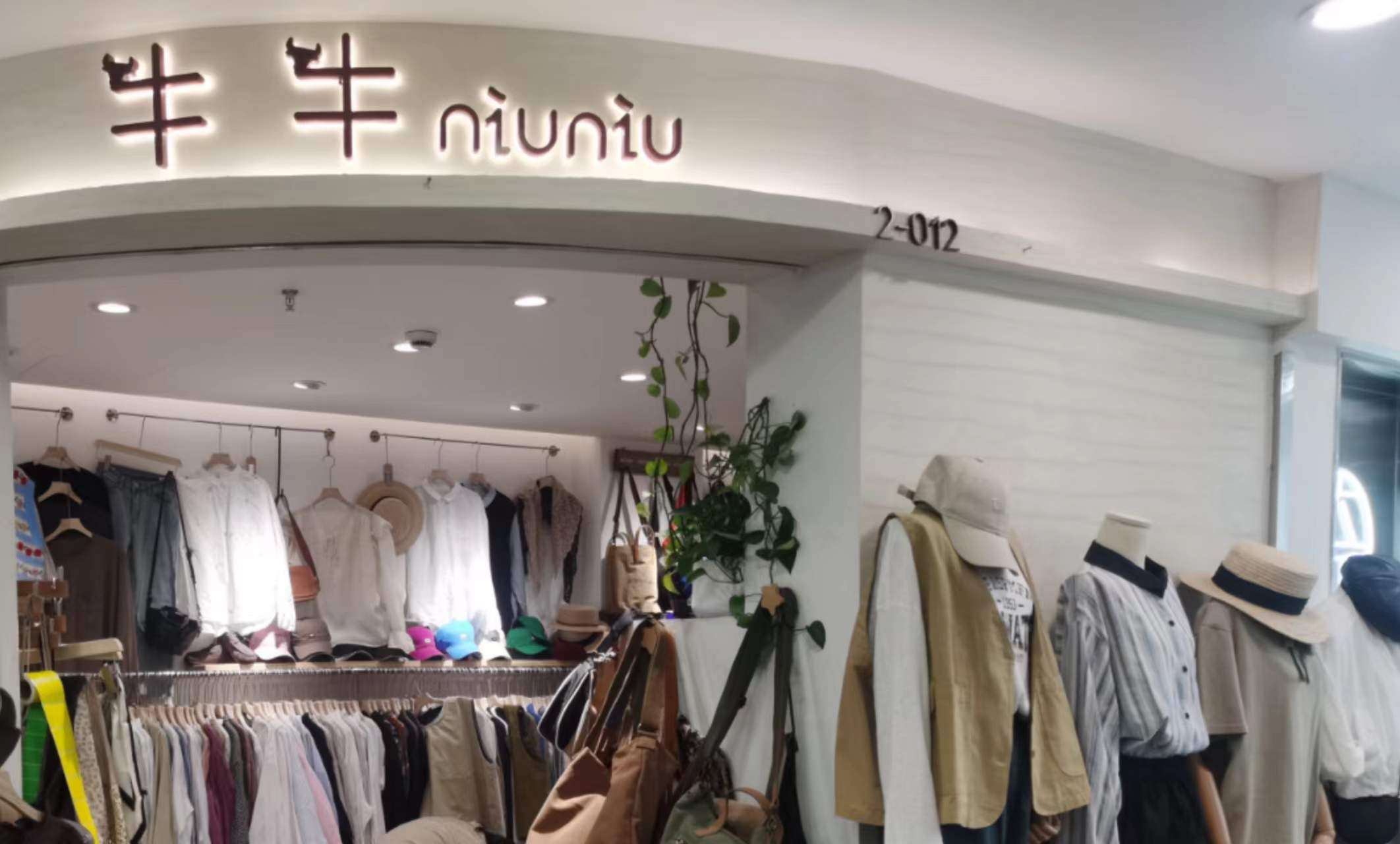 牛  牛 产品图
