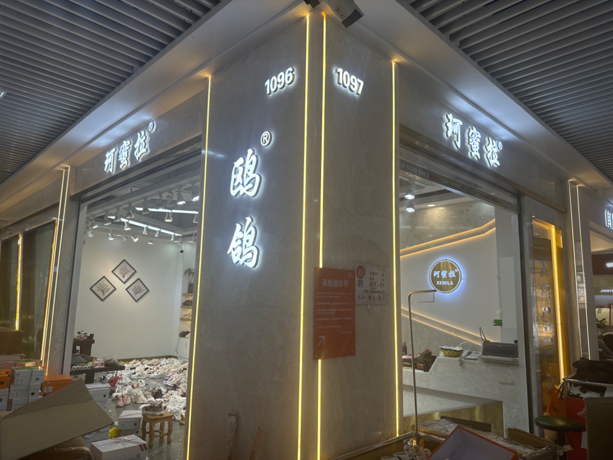 鸥鸽