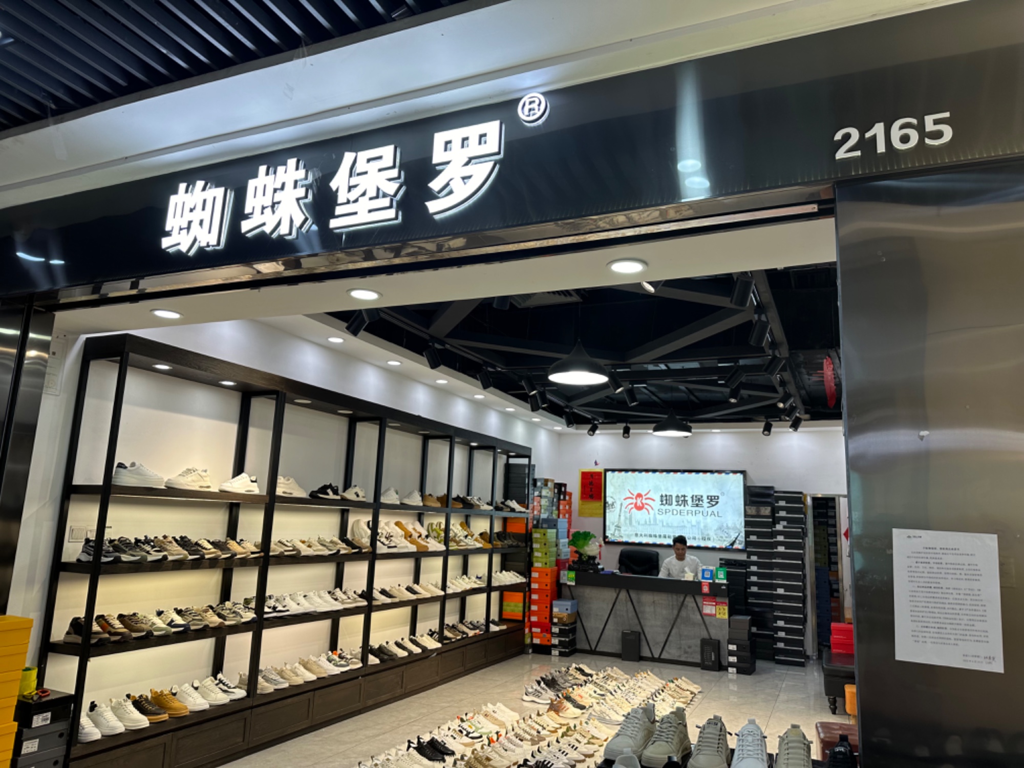 蜘蛛保罗 产品图