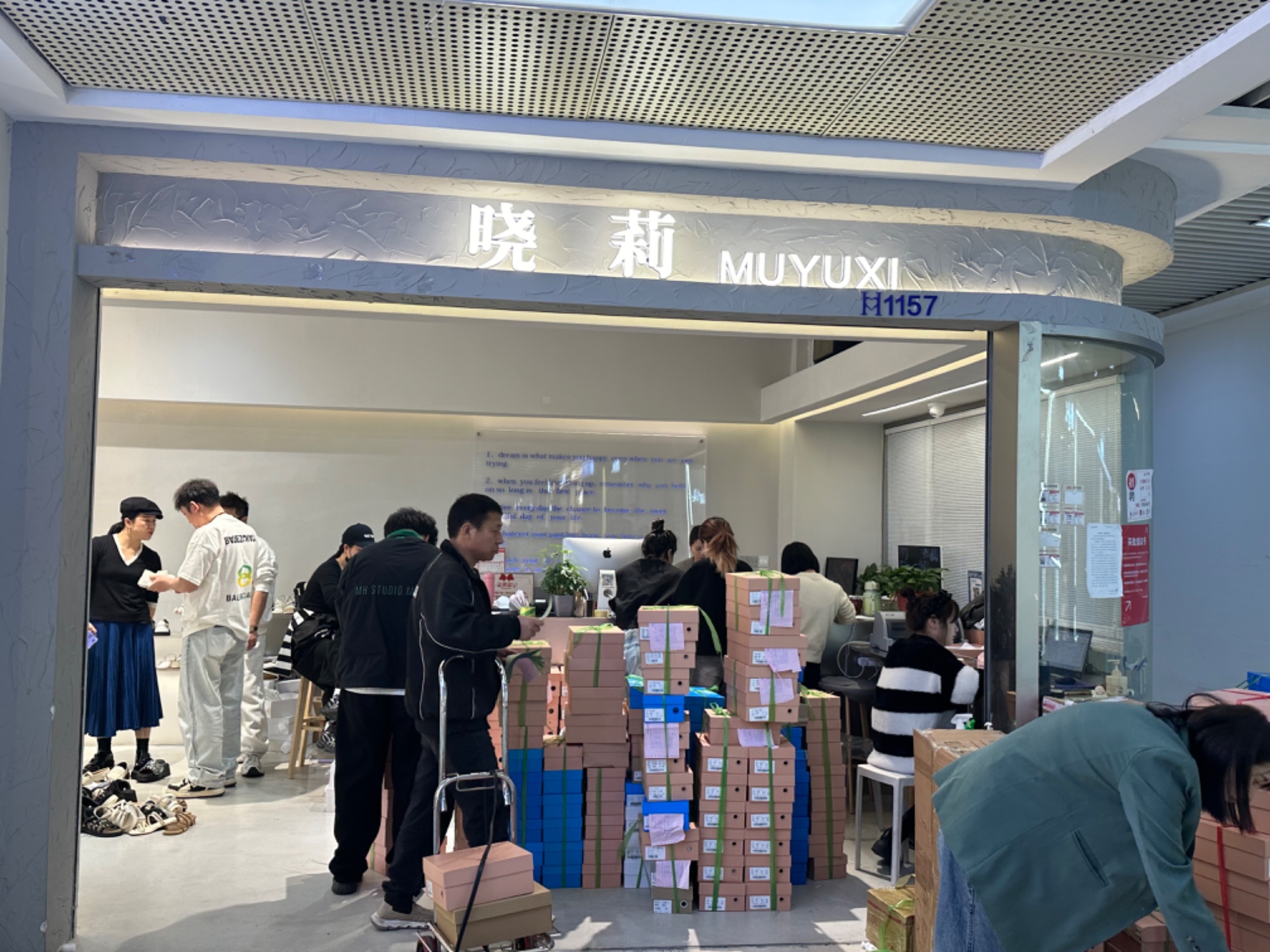 晓莉