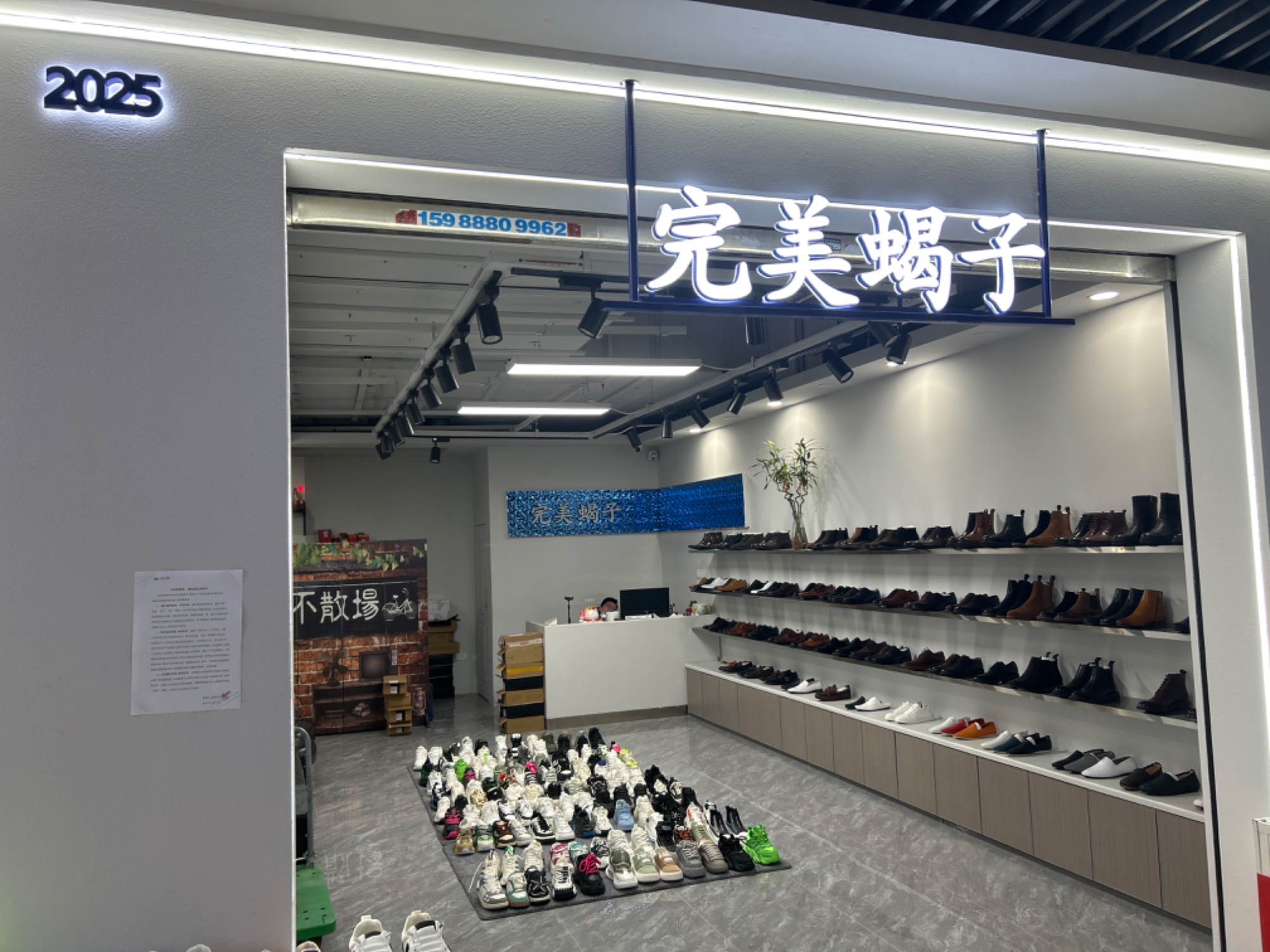 完美蝎子 产品图