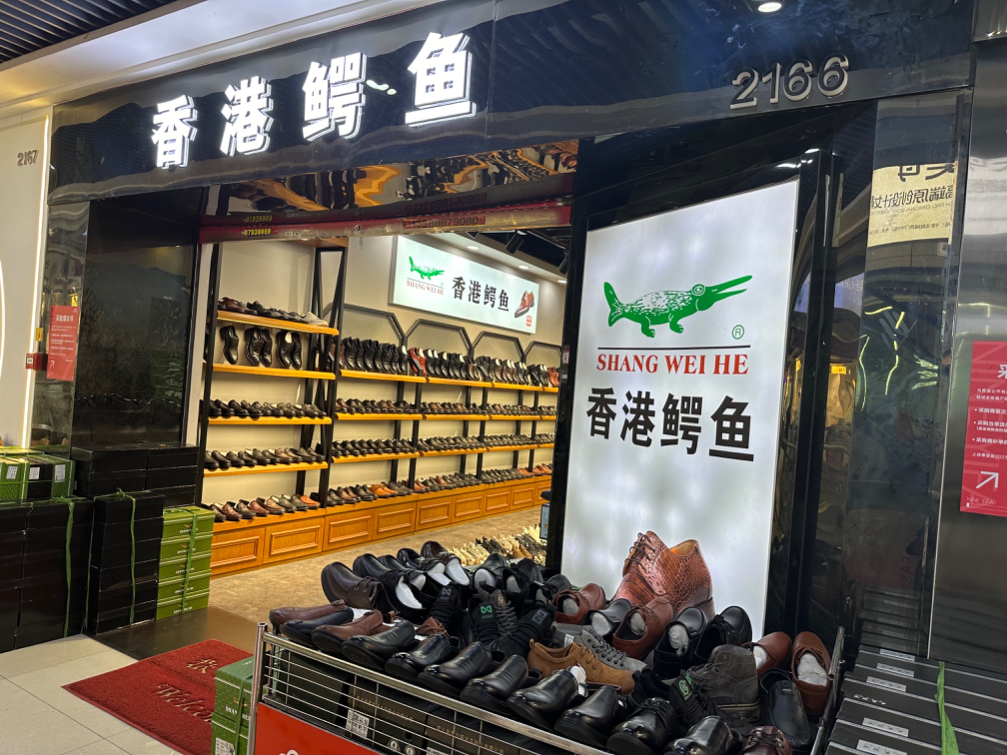 香港鳄鱼 产品图