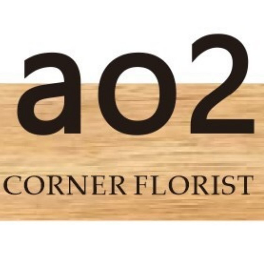AO-2--金马3楼C207 产品图