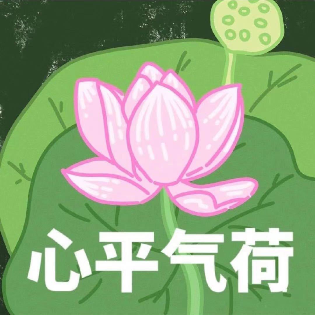 FAFA 产品图