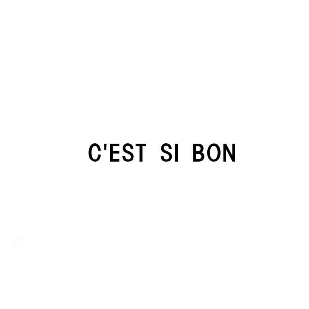 C.EST SI BON--新中国2107 产品图