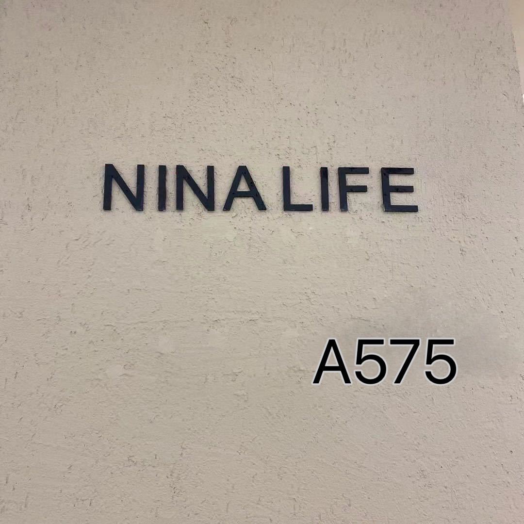 NINA-LIFE--新中国A575 产品图