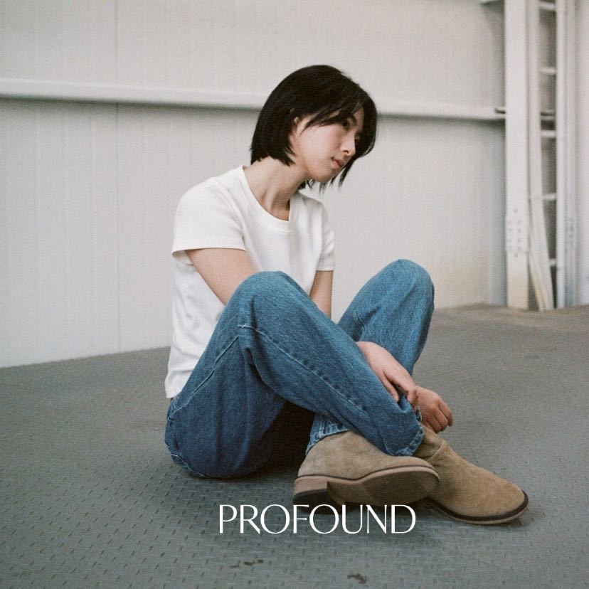 PROFOUND-APMPLACE 2F246 产品图