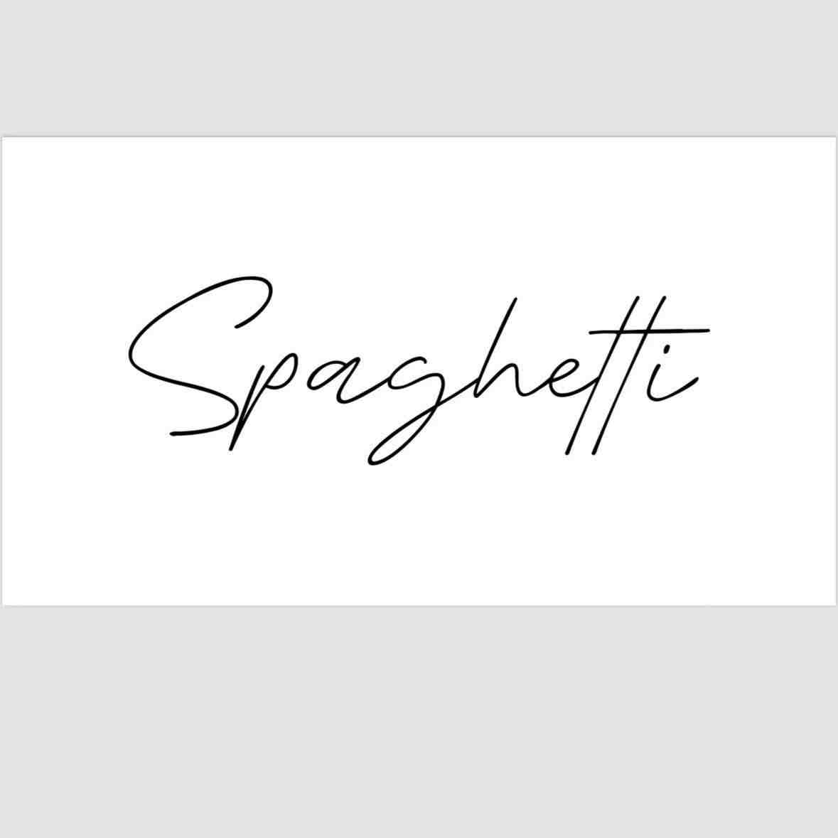 spaghetti-apm311 产品图