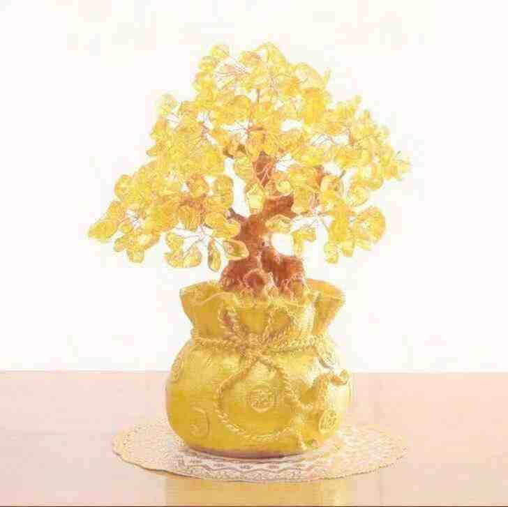 菁菁草家-金马2楼B228 产品图
